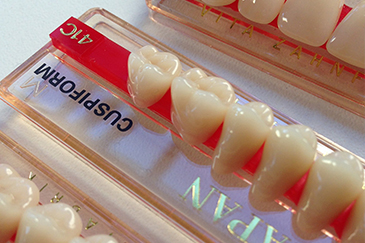 歯科衛生士の適性