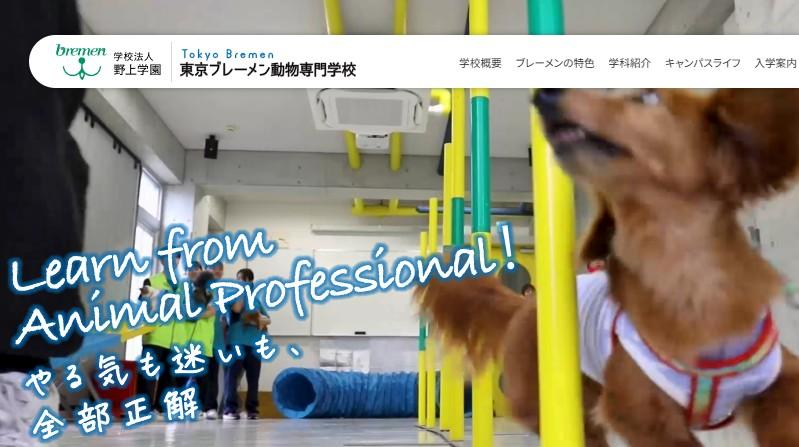 東京ブレーメン動物専門学校