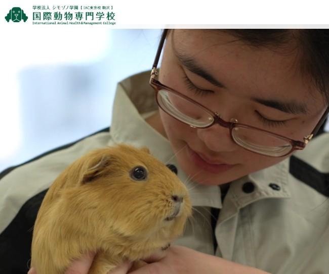 国際動物専門学校
