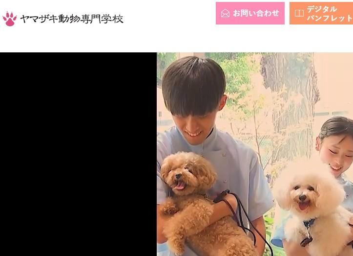 ヤマザキ動物専門学校