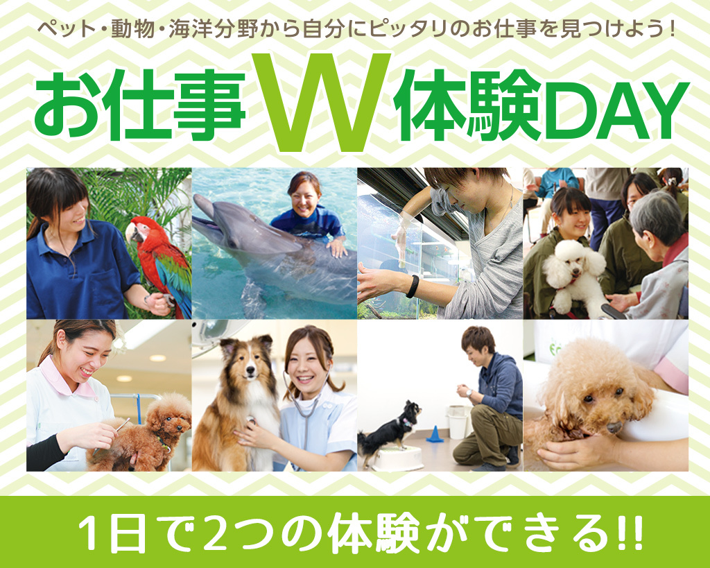 大阪ECO動物海洋専門学校のオープンキャンパスイメージ