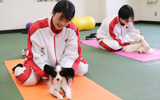 大阪動物専門学校のオープンキャンパスイメージ
