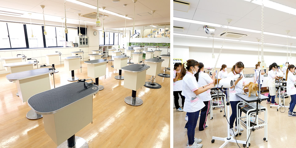 大阪eco動物海洋専門学校の特徴 学科 学費 資格 評判を徹底解剖 学ラン 専門学校 スクール学費ランキング