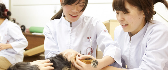 大阪ペピイ動物看護専門学校の特徴 学科 学費 資格 評判を徹底解剖 学ラン 専門学校 スクール学費ランキング